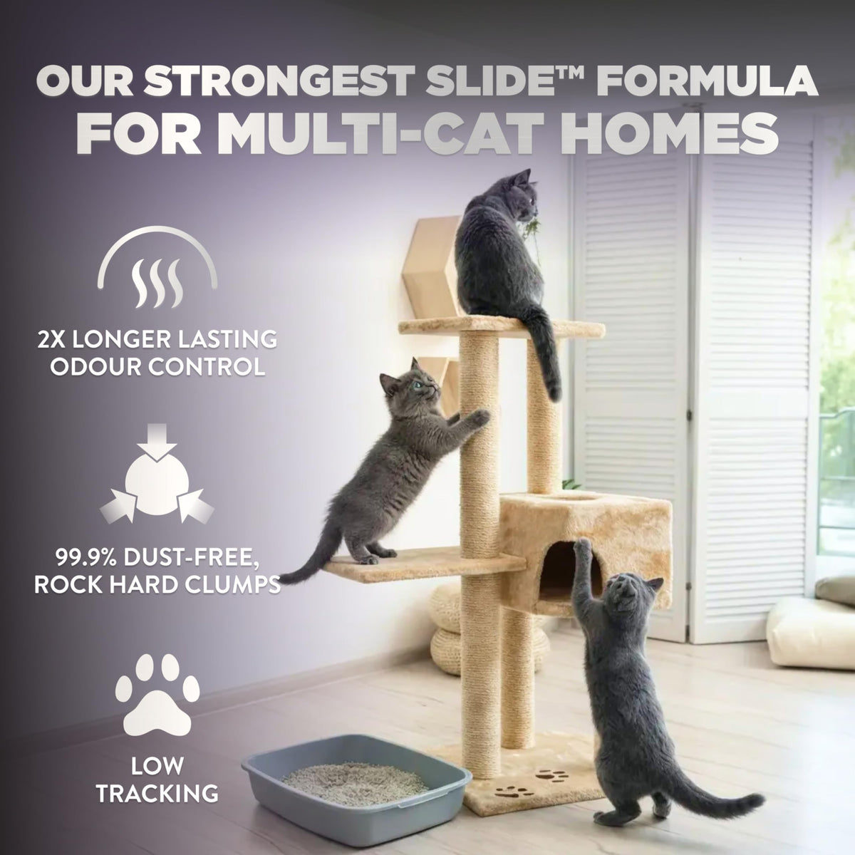ARM & HAMMER Platinum Clumping Cat Litter, 2x Longer odour Control, Multi-Cat Clay, Ultimate 14-Day Freshness, Extra Oduor Eliminators, Effortless Clean, Dust-Free, Heavy-Duty Clumping, 16.78 kg 🍁 All In One Marketplace Canada