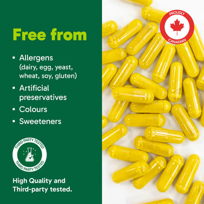 Organika Berberine - High Potency 1000mg per Day, Cholesterol and Glucose Metabolism Support, Helps Maintain Cardiovascular Health - 60vcaps 🍁 All In One Marketplace Canada