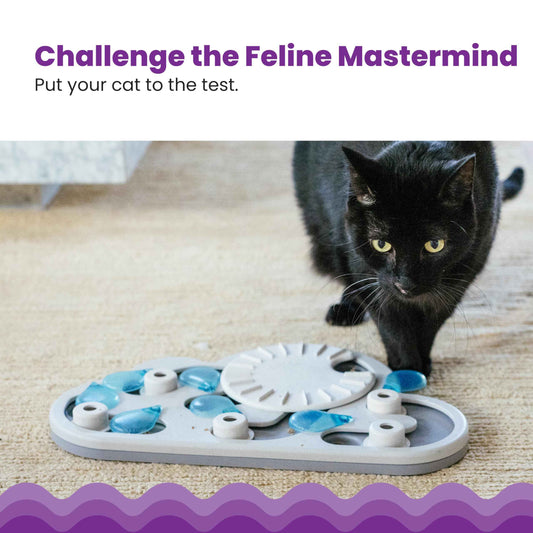 Catstages by Nina Ottosson Rainy Day Puzzle & Play Cat Puzzle Feeder – Interactive Treat Game for Indoor Cats, Level 3 Slow Feeder Enrichment Toy, 13.8" x 14" 🍁 All In One Marketplace Canada