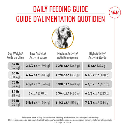 Royal Canin Labrador Retriever Adult Dry Dog Food, 30 lb bag 🍁 All In One Marketplace Canada