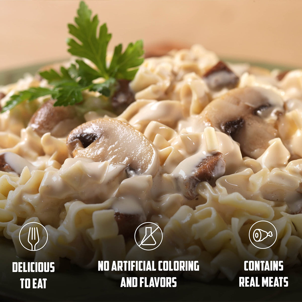 Mountain House Beef Stroganoff, Freeze Dried Emergency Food, Single Pouch 🍁 All In One Marketplace Canada