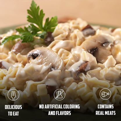Mountain House Beef Stroganoff, Freeze Dried Emergency Food, Single Pouch 🍁 All In One Marketplace Canada