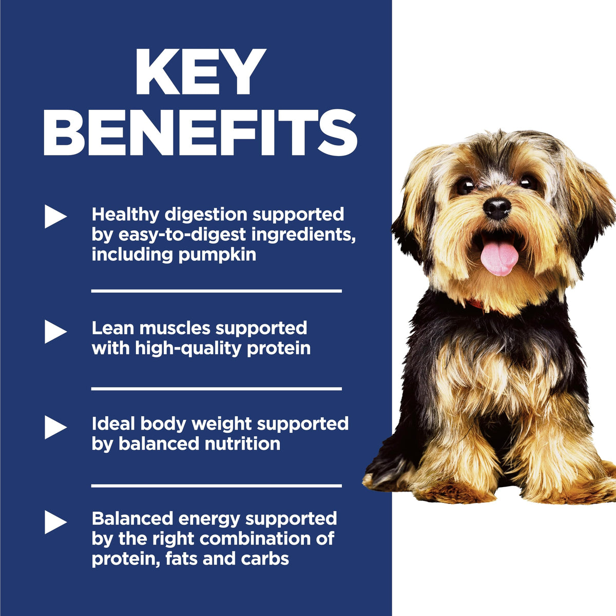 Hill's Science Diet Adult Small & Mini Chicken Meal & Rice Recipe Dry Dog Food 2.04 kg Bag 🍁 All In One Marketplace Canada