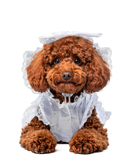 Rubies Costume Co Halloween Classics Collection Pet Costume, X-Large, Bride