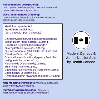 DHM Blend, No Days Wasted, 30 Capsules (15 Servings) - Jar - Dihydromyricetin (DHM Supplement), Milk Thistle, Prickly Pear, Hydration Blend-Take During Evening for Better Next Day After Celebrating 🍁 All In One Marketplace Canada
