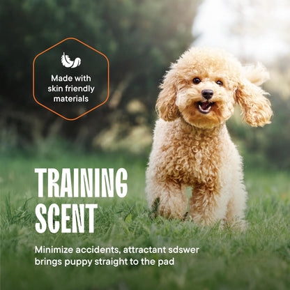 Puppy Pads Pet Pee Pads for Dogs & Puppy Training - 100 Count - Potty Pads for Dogs 22" x 22" Leak-Proof Dog Pee Pads - Quick-Dry Surface - Heavy Duty Absorbent Disposable Dog Wee Pad Bulk Pack 🍁 All In One Marketplace Canada