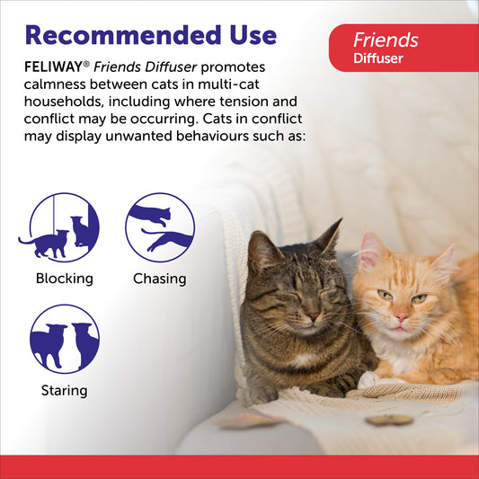 FELIWAY Friends Diffuser Refill, Promotes harmony between cats in multi-cat households, VHP Registered NN.X7C2, includes 1 Refill, Lasts 30 Days, Cat Calming Pheromones, 48ml 🍁 All In One Marketplace Canada