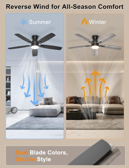 Ohniyou 52'' Ceiling Fan with Lights: Smart Fan with remote & APP Control - Low Profile Ceiling Fan with Quiet Performance - Flush Mount Outdoor Ceiling Fan (Black) 🍁 All In One Marketplace Canada
