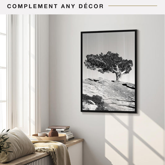 MCS Everline Collection 16x24 Poster Frame Black, Vertical & Horizontal Wall Hanging Large Picture Frame for Photos, Posters & Art Prints (1-Pack) 🍁 All In One Marketplace Canada
