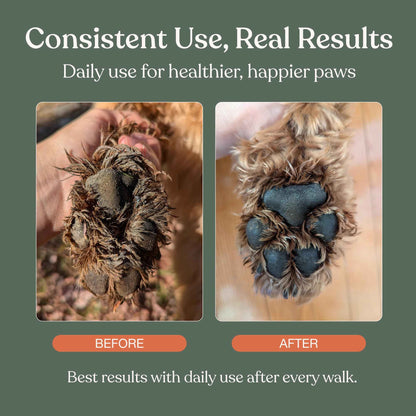 Dandylion Dog Paw Cleaner, Clean Paws, Dog Paw Washer, No Rinse Foam Cleaner for Dogs, Fragrance Free pH Balanced Foaming Washer with Silicone Brush, Pet Cleaning Supplies, 5 fl oz 🍁 All In One Marketplace Canada