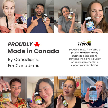 Herba Krill Oil Omega 3 Supplements - 120 Softgels | 1000mg of Antarctic Krill Oil Per Day (2 softgels 500mg each) | Source of Omega 3 Fatty Acids | High Astaxanthin | Premium Grade - 500mg per Soft Gel | Made in Canada 🍁 All In One Marketplace Canada