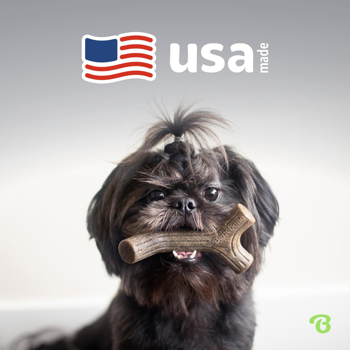 Benebone 4-Pack Durable Dog Chew Toys for Aggressive Chewers, Real Flavors, Made in USA, Medium 🍁 All In One Marketplace Canada