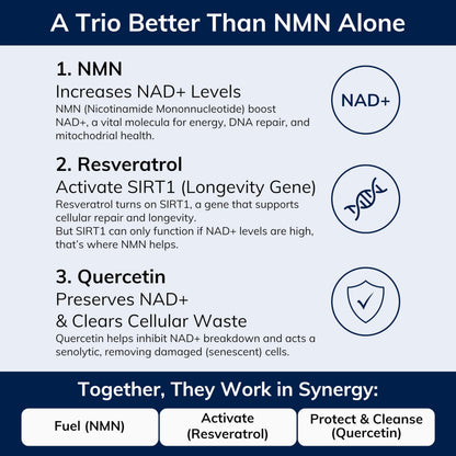 NMN w/Quercetin & Resveratrol For Enhanced NAD+ Levels - More Effective Than NMN Alone, High Purity 99% Nicotinamide Mononucleotide & Resveratrol For Cellular Health, NAD Supplement, 60 Capsules 🍁 All In One Marketplace Canada