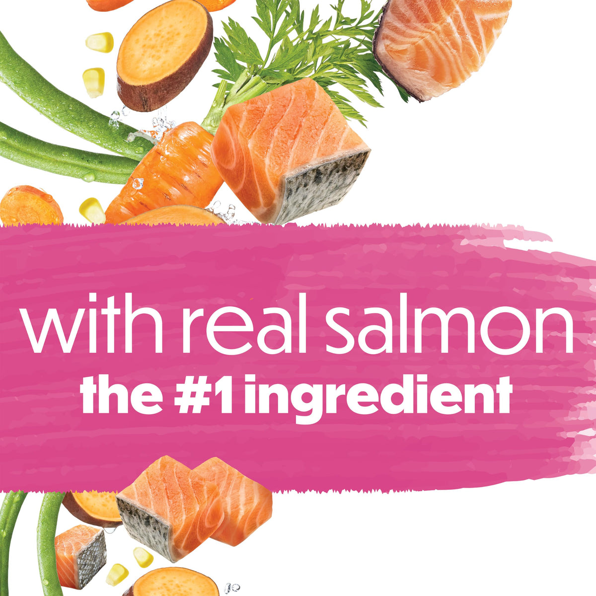 Beneful Originals Dry Dog Food, Real Salmon - 7 kg Bag 🍁 All In One Marketplace Canada