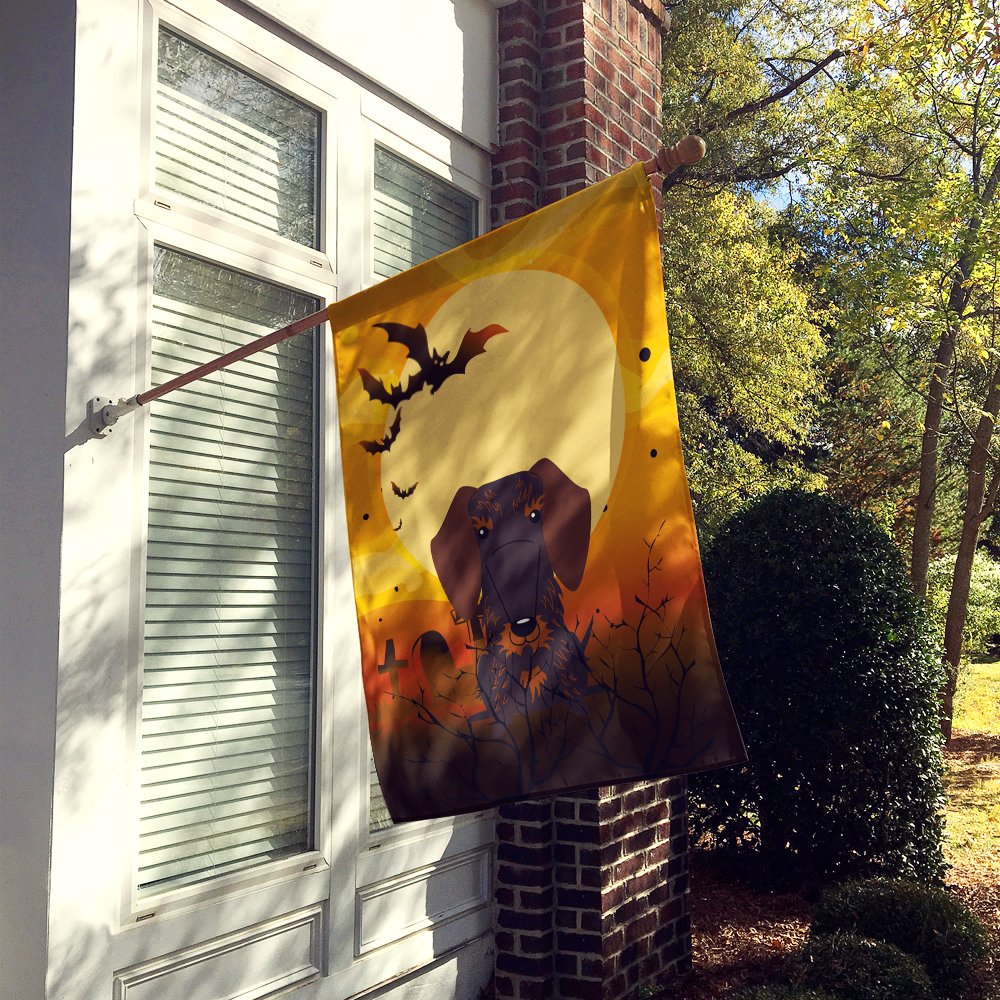 Caroline's Treasures BB4395CHF Halloween Wire Haired Dachshund Chocolate Canvas House Flag, Large, Multicolor