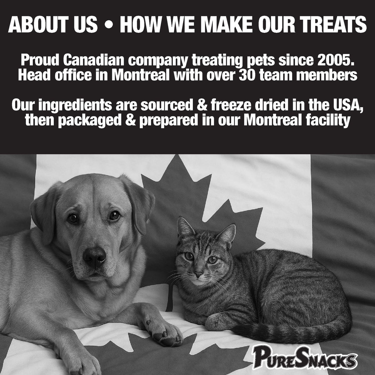 PureSnacks Chicken Single Ingredient Freeze Dried Dog Treats, 261 g 🍁 All In One Marketplace Canada