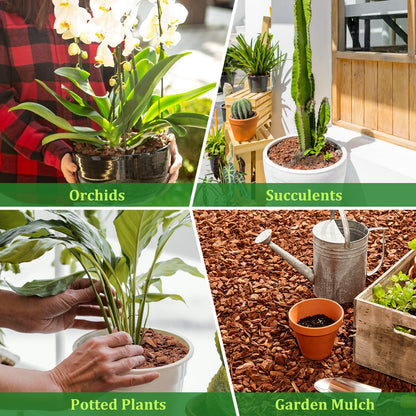 Legigo 2 litres Organic Orchid Potting Bark- All Natural Orchid Bark Potting Mix Pine Bark Wood Chips for Houseplant Mulch, Plants Root Development 🍁 All In One Marketplace Canada