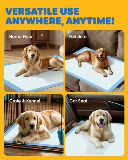 Powools 50-Pack X-Larg Puppy Pads - 34" x 28" Extra Large Pee Pads for Dogs with 6-Layer Leakproof Protection, Quick-Dry and Disposable Dog Pads with High Absorbency for Easy Potty Training 🍁 All In One Marketplace Canada