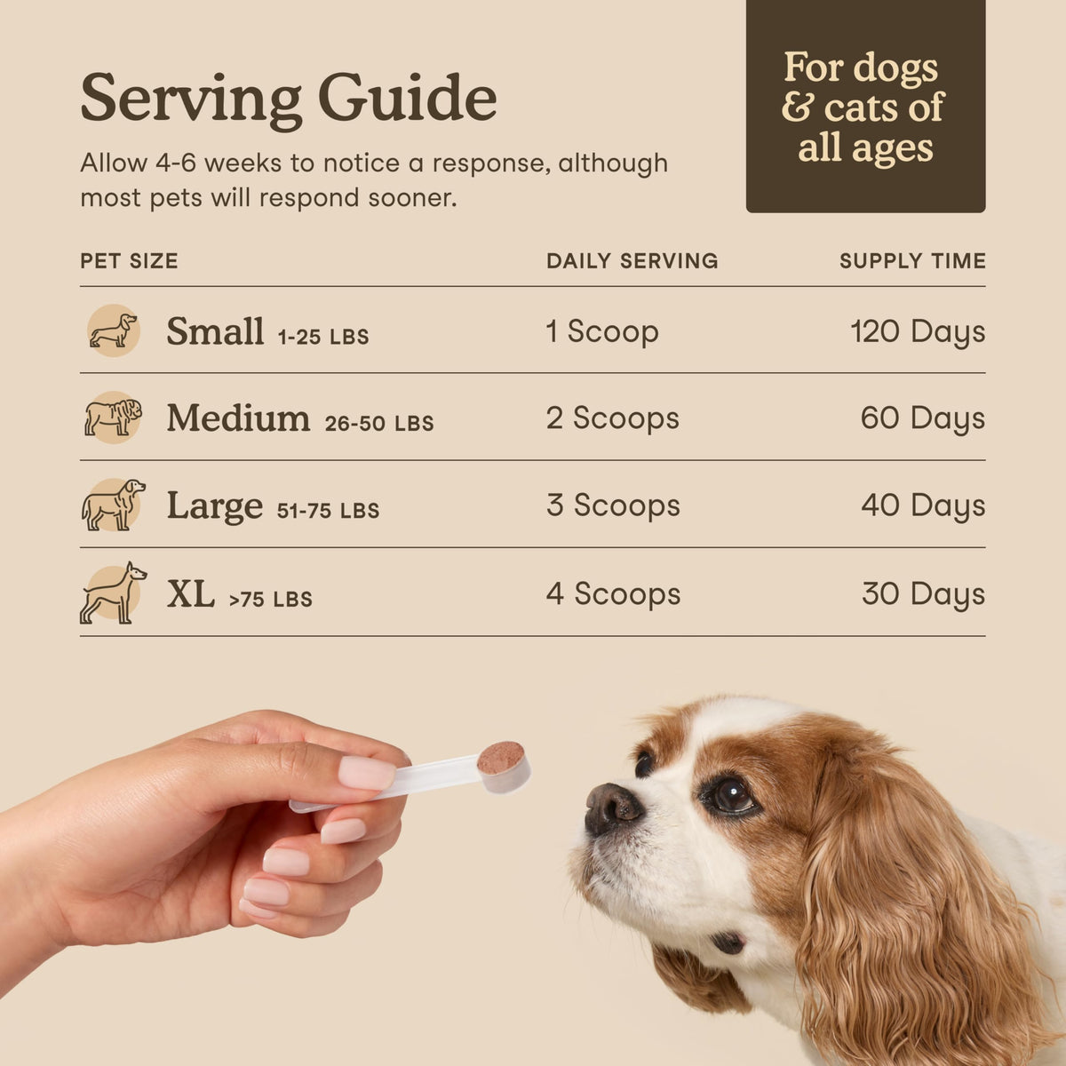 Fera Pets Turkey Tail Mushroom for Dogs & Cats - USDA Organic Supplement - Cognitive and Immune Support - Enhances Liver Function - Supports a Healthy Gut - Powder - 120 Scoops 🍁 All In One Marketplace Canada