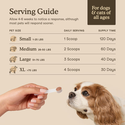 Fera Pets Turkey Tail Mushroom for Dogs & Cats - USDA Organic Supplement - Cognitive and Immune Support - Enhances Liver Function - Supports a Healthy Gut - Powder - 120 Scoops 🍁 All In One Marketplace Canada