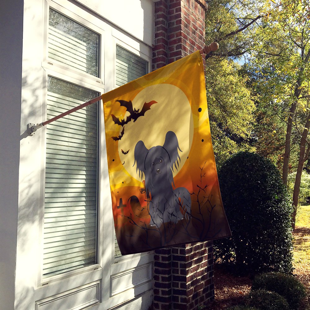 Caroline's Treasures BB4378CHF Halloween Chinese Crested Black Flag Canvas House Size, Large, Multicolor