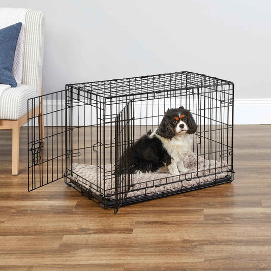 MidWest Homes for Pets 30-Inch New World Crate for Medium Breeds, 21-40 lbs, Double Door Folding Dog Crate, Leak-Proof Tray & Secure Latches, Portable, Durable & Easy to Assemble 🍁 All In One Marketplace Canada