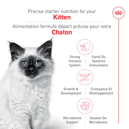 Royal Canin Feline Health Nutrition Dry Kitten Food, Supports Digestive Health, Immune Support and Healthy Energy, 3 lb Bag 🍁 All In One Marketplace Canada