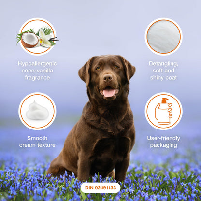 Douxo S3 Pyo Mousse, Contains 3% Chlorhexidine, for Dogs, 5.1 fl. oz. (150mL) 🍁 All In One Marketplace Canada
