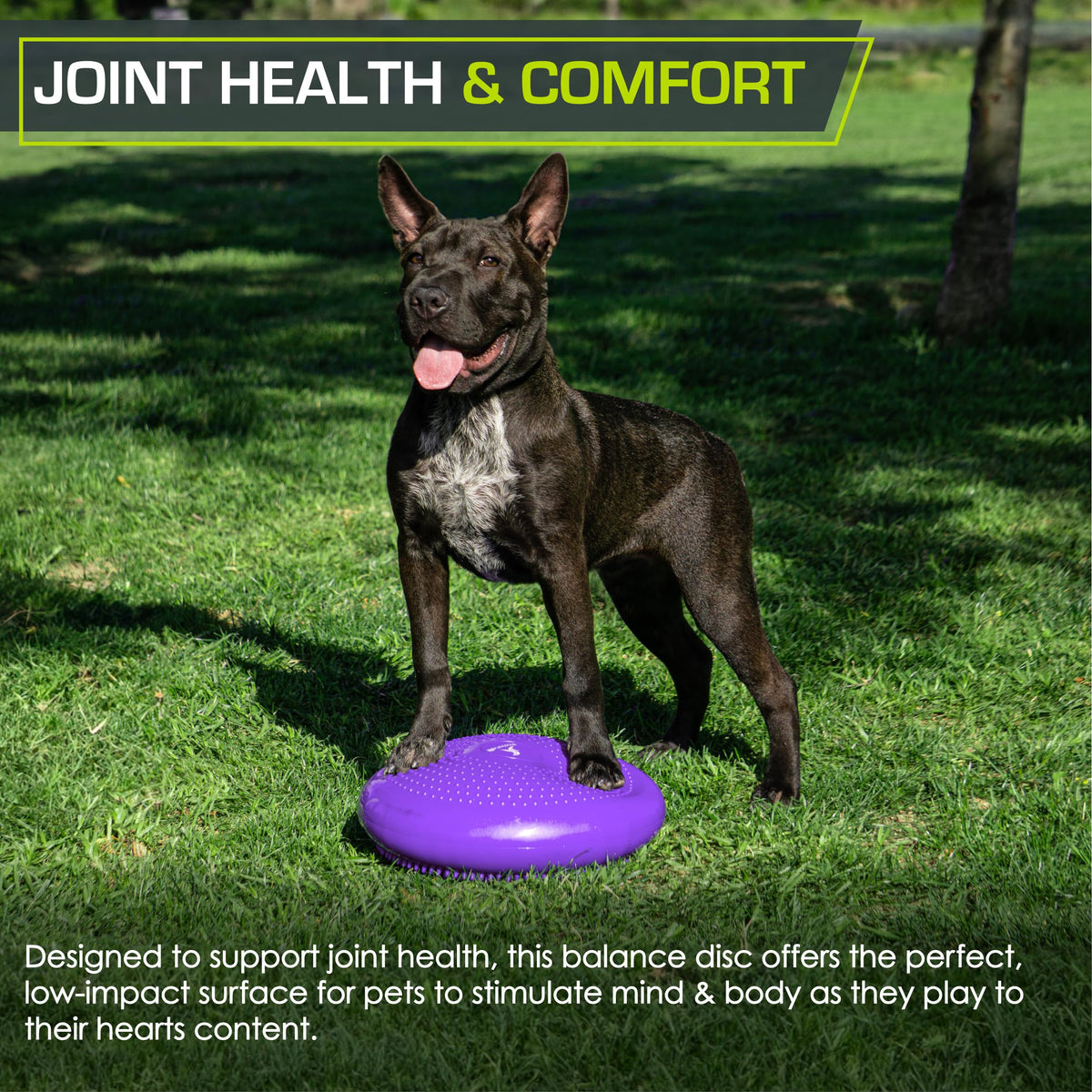 ProsourceFit Core Balance Disc Trainer, 14” Diameter with Pump for Improving Posture, Fitness, Stability 🍁 All In One Marketplace Canada