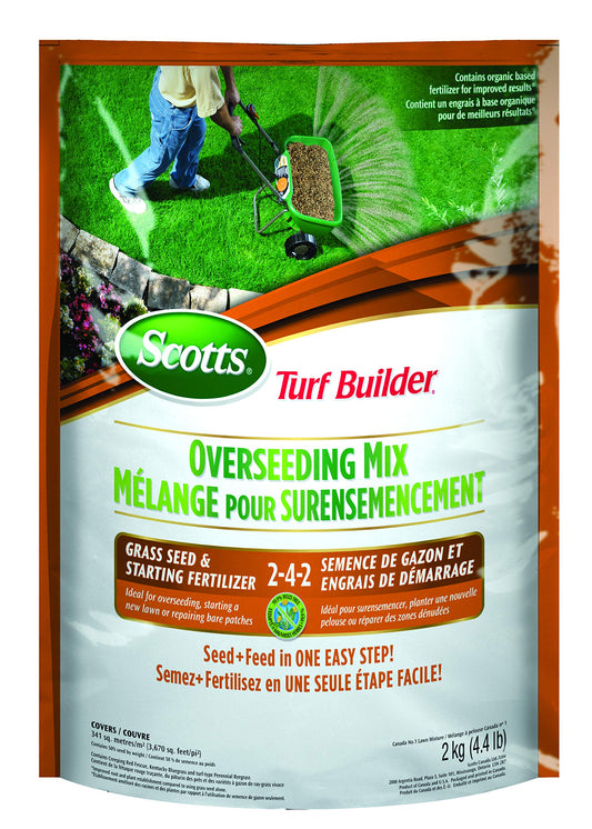 Scotts Turf Builder Overseeding Mix Grass Seed & Starting Fertilizer 2-4-2, 2kg (341 sq Meters / 3,670 sq feet Coverage) | Repair Thin Lawns, Fast Germination, Strong Roots 🍁 All In One Marketplace Canada