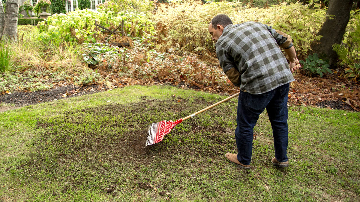 Scotts Turf Builder Quick + Thick Grass Seed (Dense Shade) 1.2kg (12675) 🍁 All In One Marketplace Canada