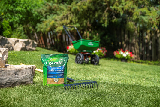 Scotts Grass Seed All Purpose Mix, 5kg (900 sq Meters / 9,683 sq feet Coverage) | Grows in Sun & Shade, Fast Germination | New Lawn or Overseeding Existing Lawn 🍁 All In One Marketplace Canada