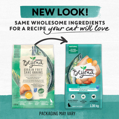 Beyond Grain Free Natural Dry Cat Food, Wild-Caught Whitefish & Free Run Egg - 2.26 kg Bag 🍁 All In One Marketplace Canada
