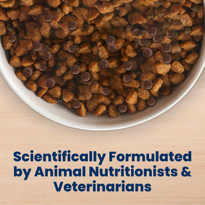 Blue Buffalo Life Protection Formula Chicken & Brown Rice Senior Dry Dog Food, Supports Immunity with Antioxidant-Rich LifeSource Bits, Promotes Healthy Muscle Development, Skin & Coat, 11.7kg/26lbs 🍁 All In One Marketplace Canada