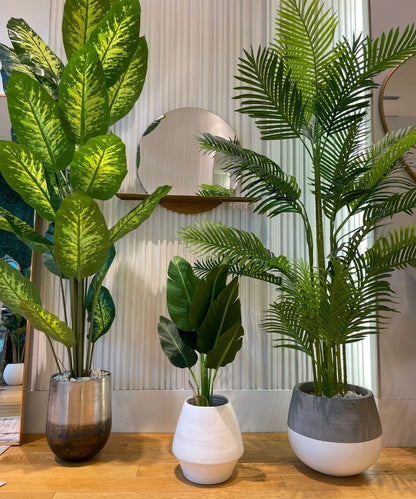 Petra - Brass Planter (Multiple Sizes)