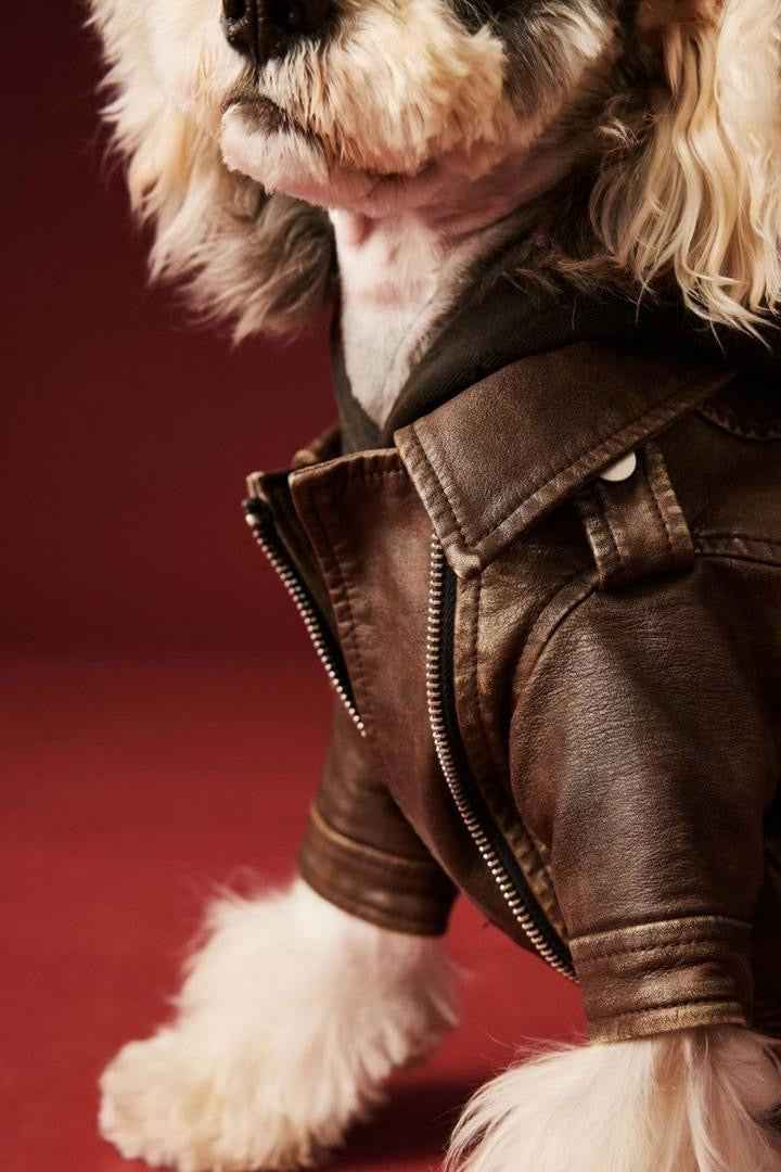 Lenny Dog Jacket | Dog Jacket for Cold Weather