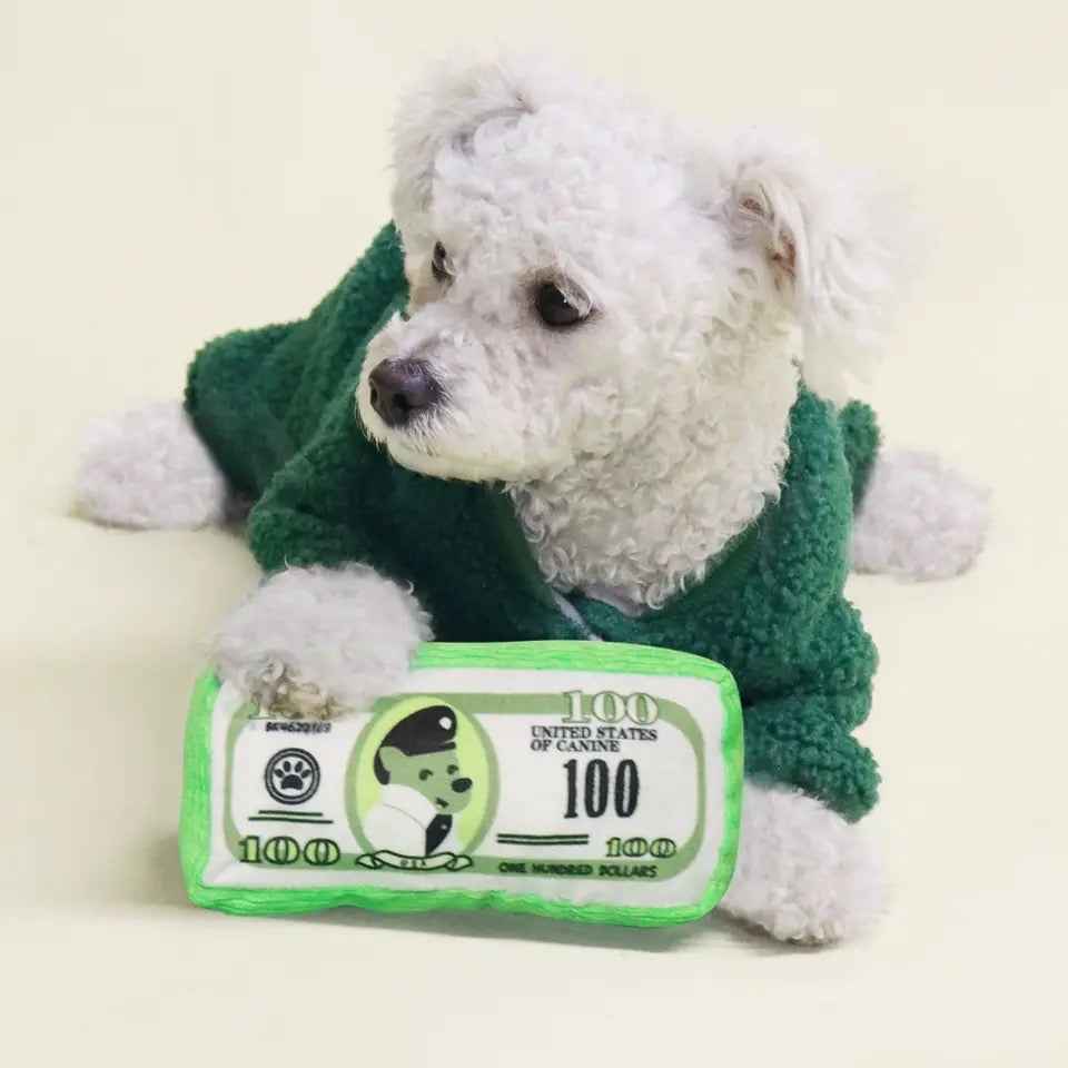 Dolla Bills Toy – Plush Dog Toy