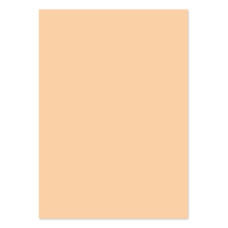 A4 Adorable Scorable Cardstock 10 Sheets