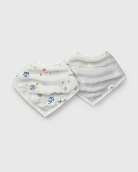 Bandana Bib Set - 2 Pack - Mini Mathletes