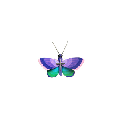 Blue Copper Butterfly