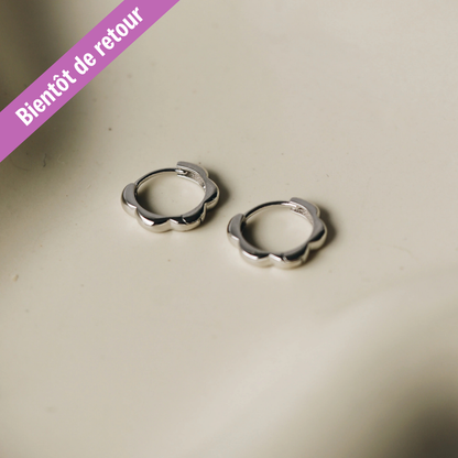 Colia