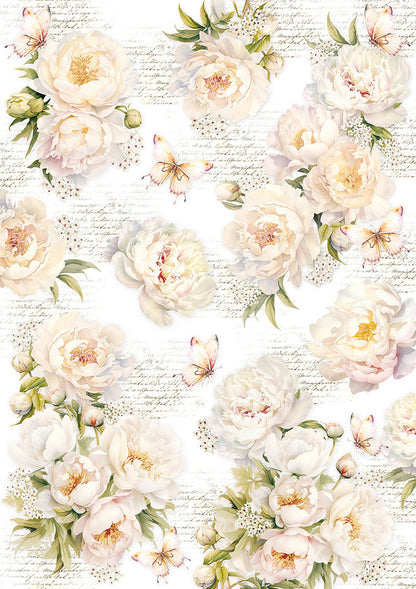 Vellum Always & Forever Paper Patterns A4 6/Pkg