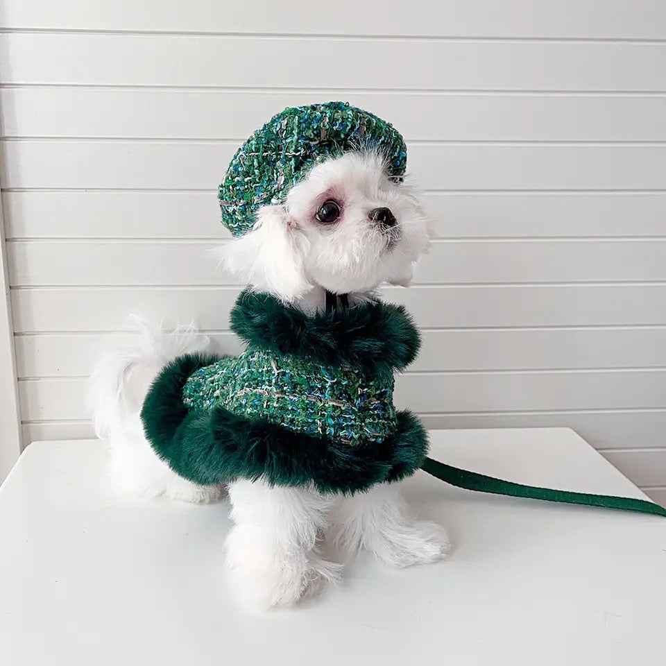 Evergreen Heritage Tweed Dog Harness Set | Harness Hat and Leash Outfit