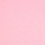 Colorplan 12X12 Cardstock 100#CV - 10 Sheets