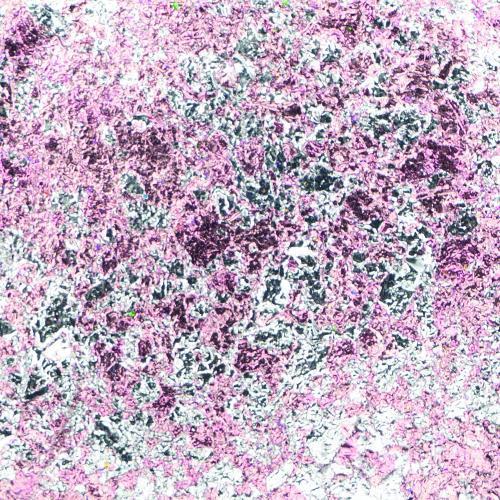 Cosmic Shimmer Aurora Flakes 50ml