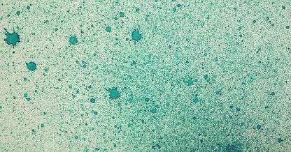 Cosmic Shimmer Airless Mister
