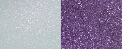 Cosmic Shimmer Pearlescent Airless Misters 50ml