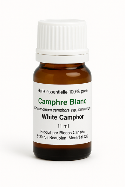 Camphre Blanc