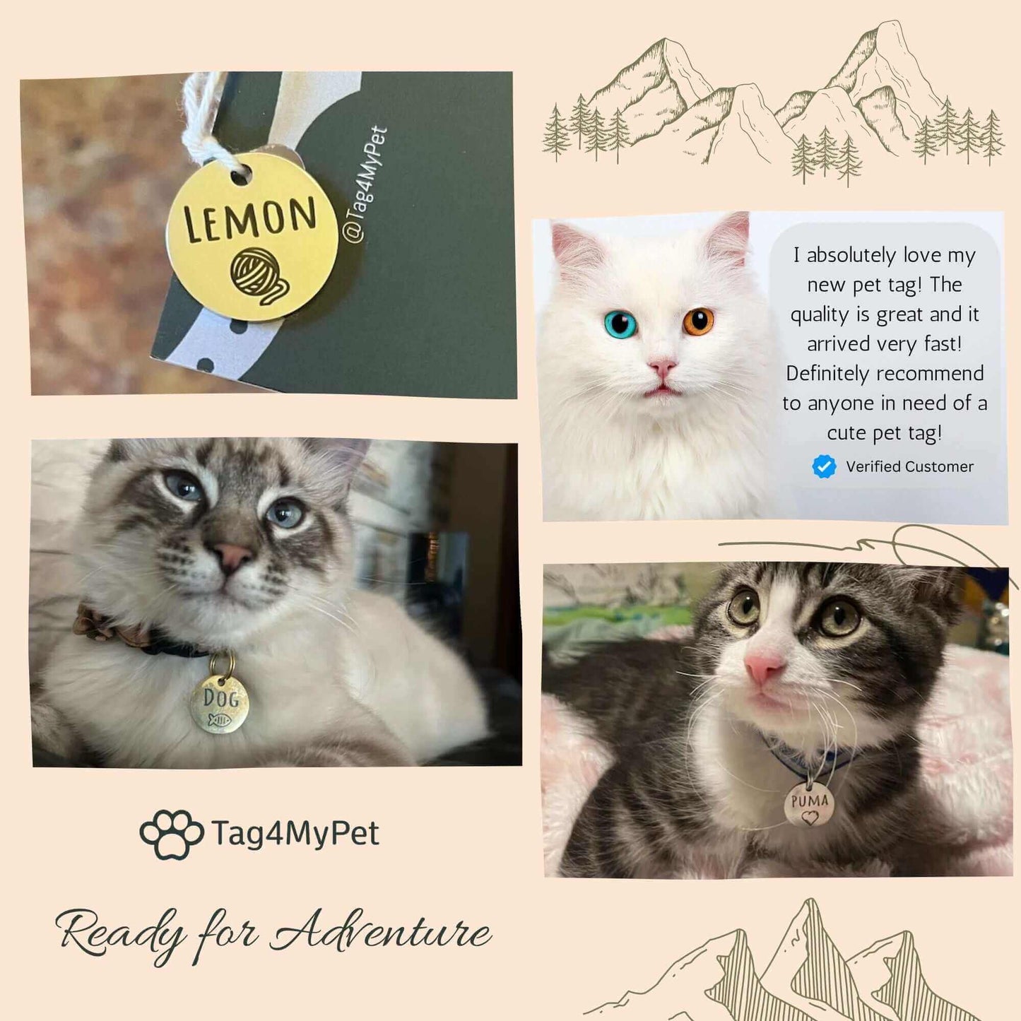 Cat Collar Breakaway - Nature Designs with ID Tag