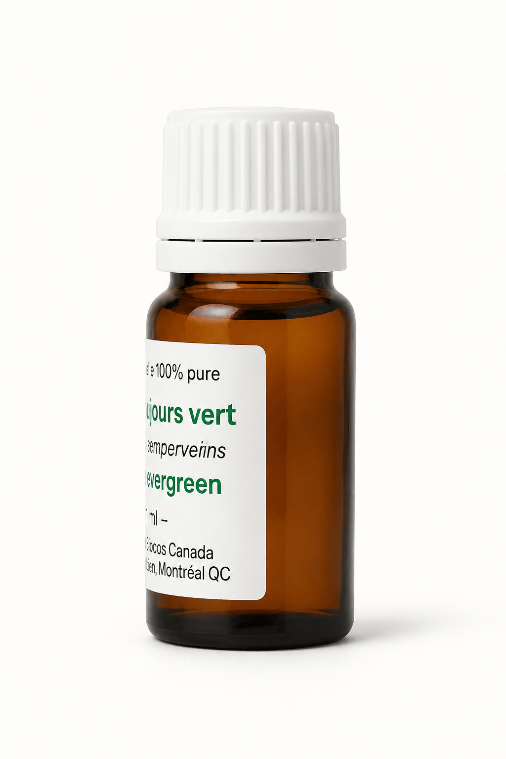 Cyprès toujours vert
